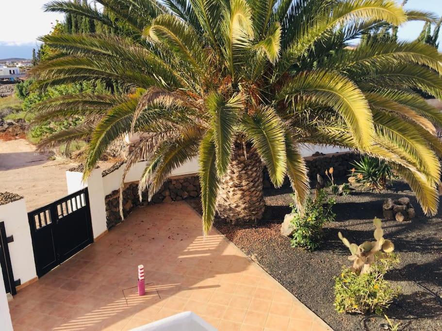 Casa Yukka Villa With Heated Pool لاجاريس المظهر الخارجي الصورة